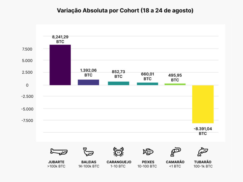 Jubartes Absorvem